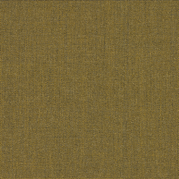 Connect_62111.jpg